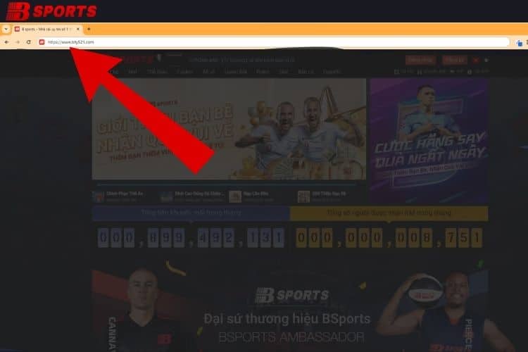 Chi tiết về nền tảng cá cược Bty521