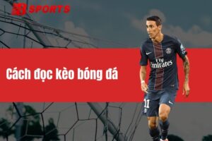 Cách đọc kèo bóng đá BTY521 chi tiết cho anh em tân thủ