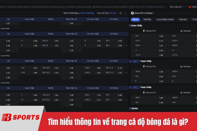 Tìm hiểu thông tin về trang cá độ bóng đá là gì?