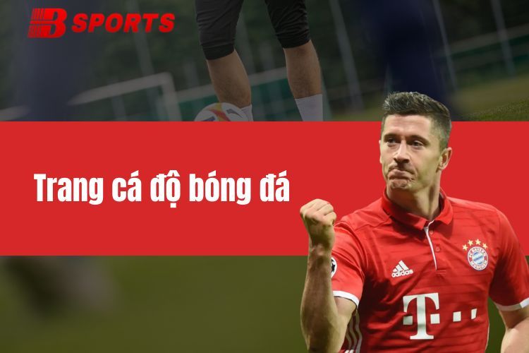 Trang cá độ bóng đá - Điểm đến an toàn và chuyên nghiệp