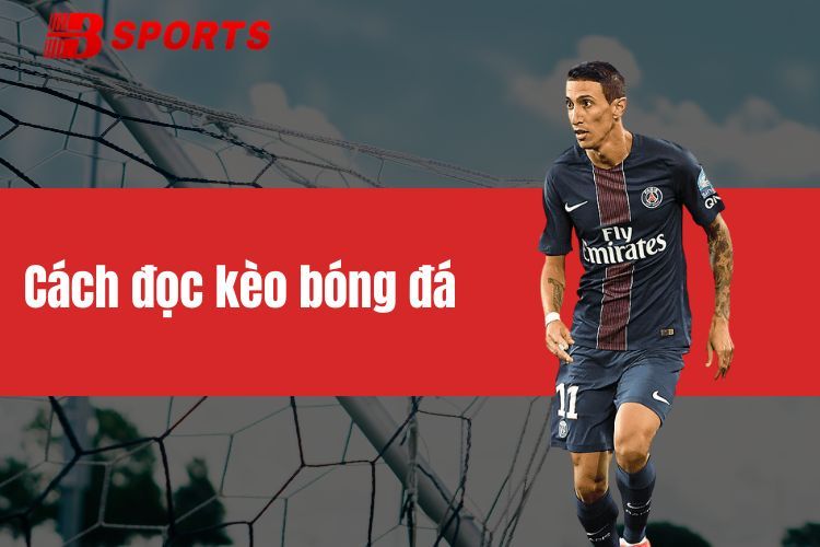 Cách đọc kèo bóng đá BTY521 chi tiết cho anh em tân thủ